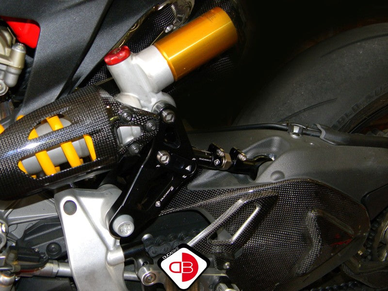 BSP01 Rear Link Suspension Panigale