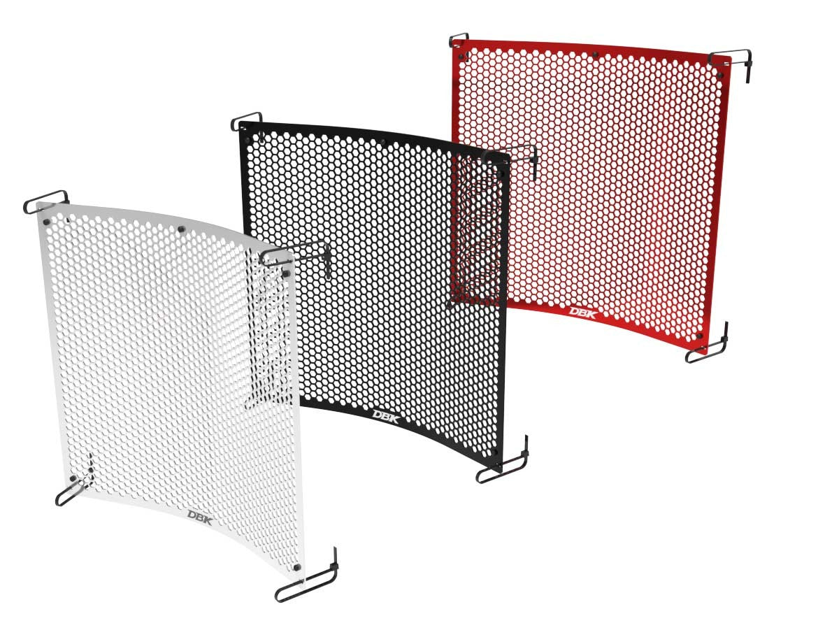 GR30 Triumph 765 Water Cooler Protection