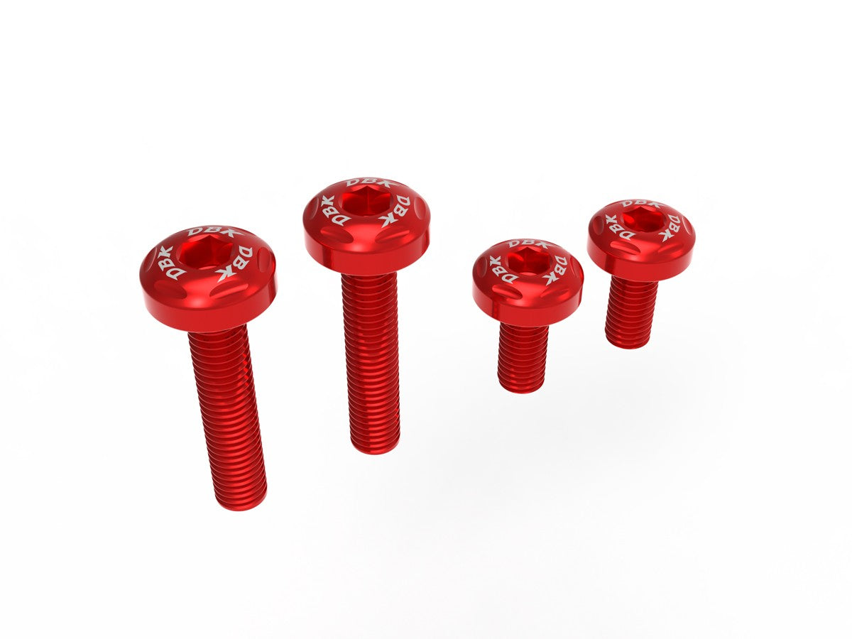 Ducati Streetfighter/Panigale V2 2025 Under-Tail Screw Kit