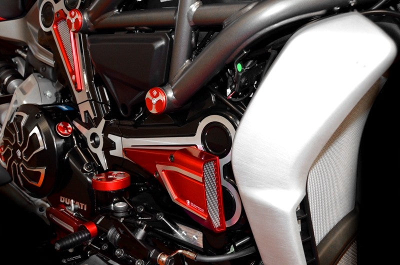 CAO01 Xdiavel Horizontal Air Intake