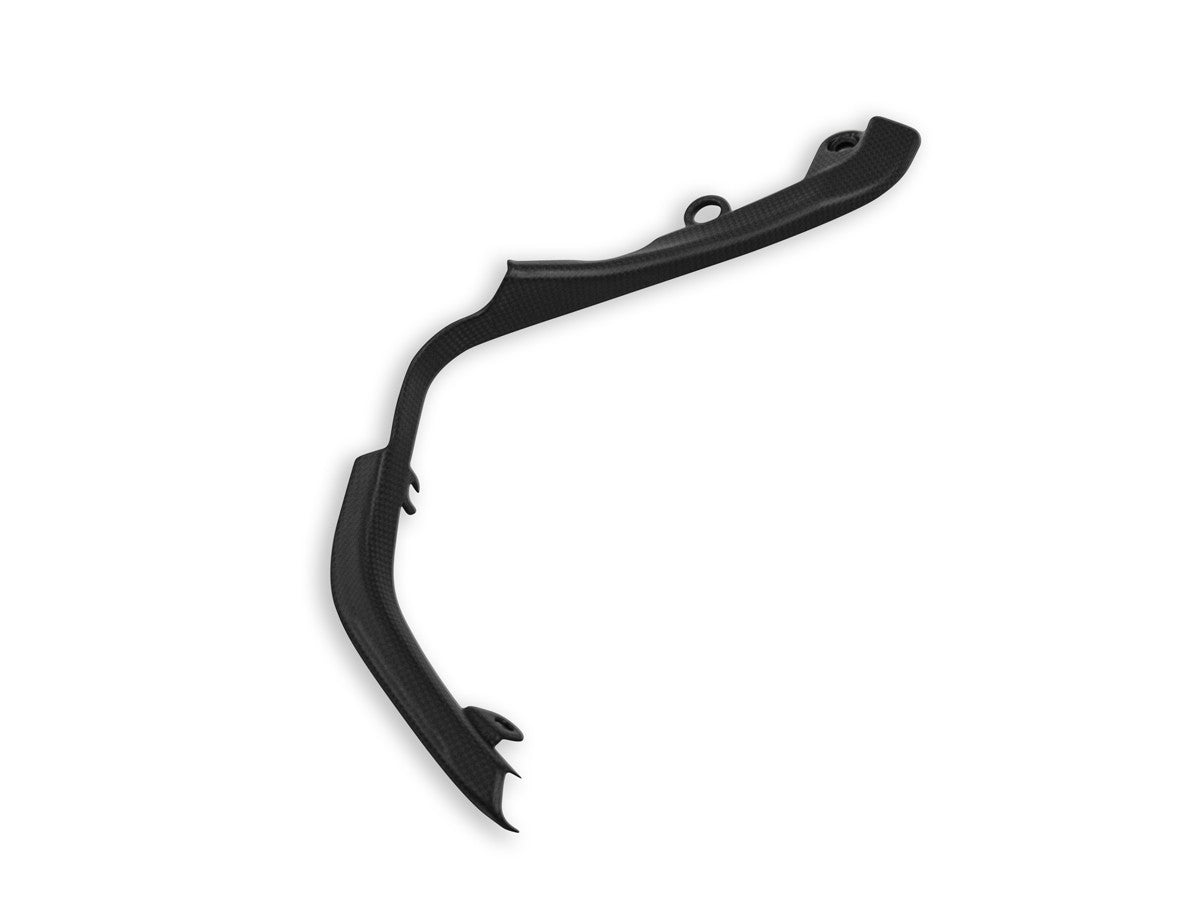 CRB120O MTS V4 Pikes Peak Swingarm Wiring Cover Matt Carbon