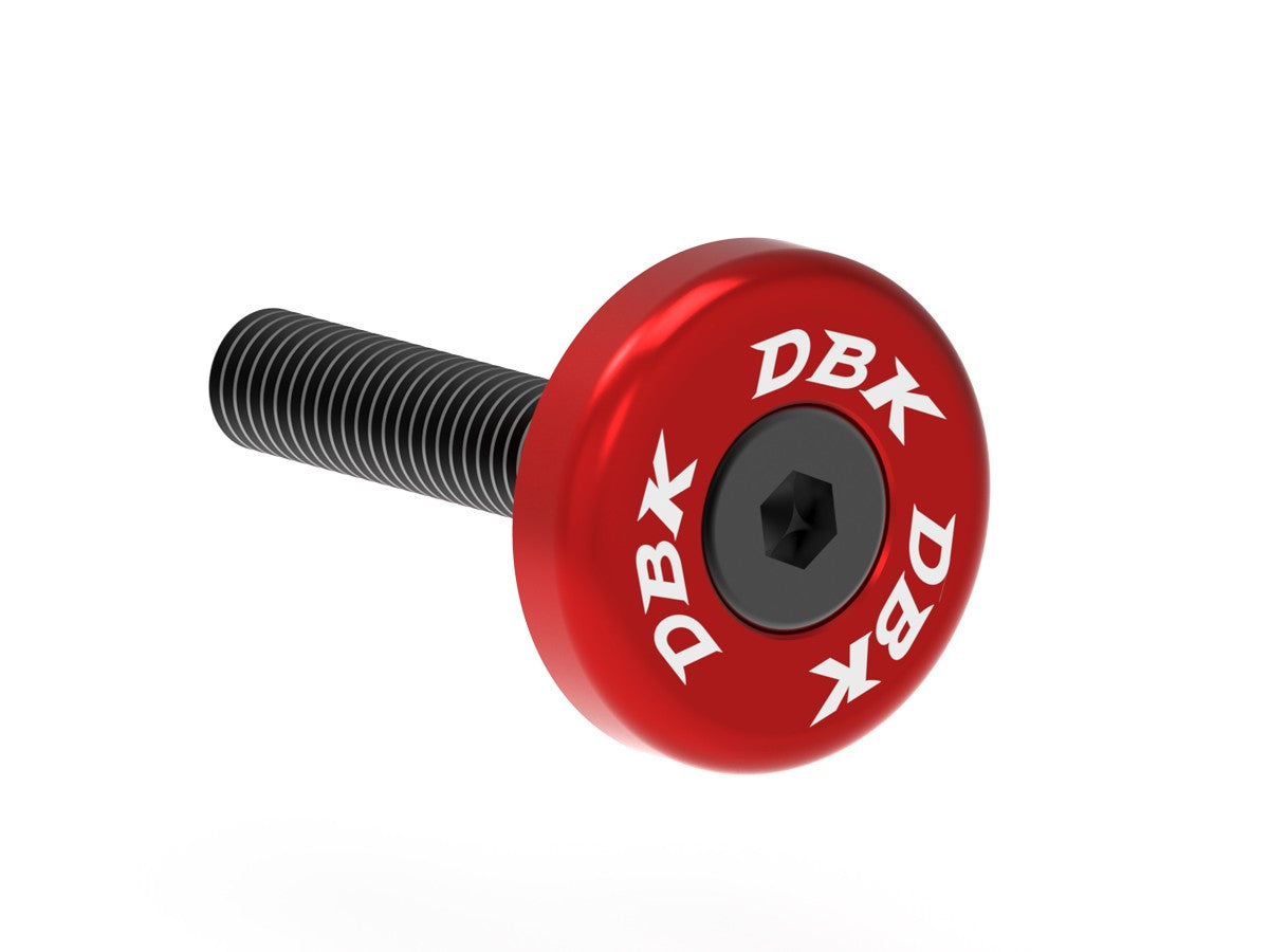 CNC Exhaust Terminal Bushing Aprilia RSV4
