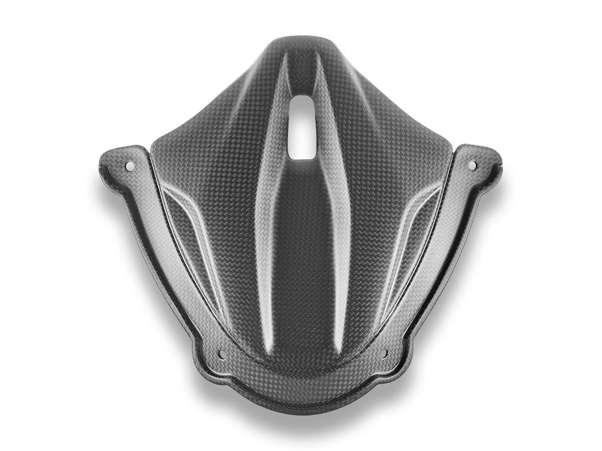Ducati Panigale V4 2025 Matt Carbon Instrument Cover