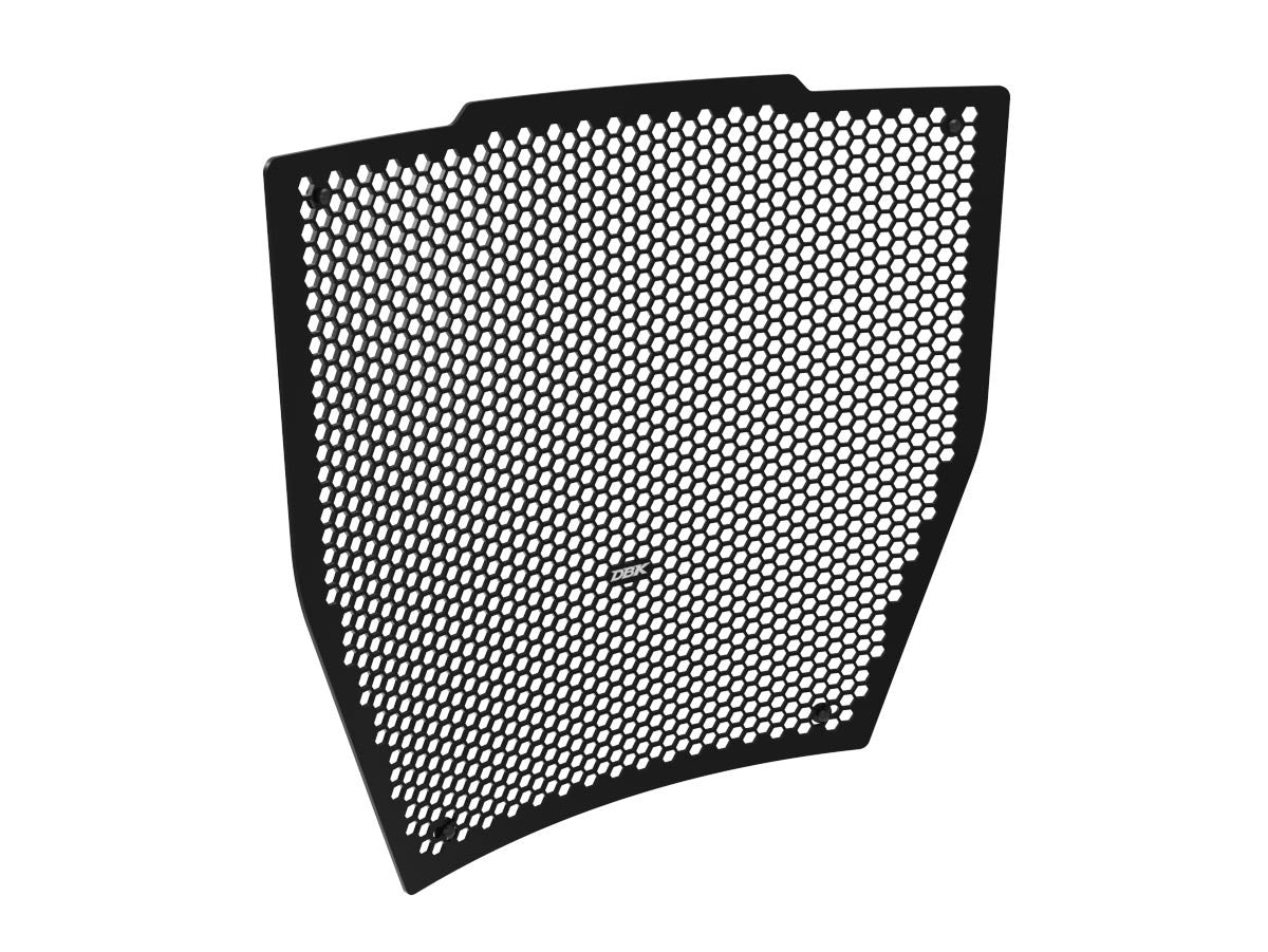 Ducati Streetfighter V4 Water Radiator Guard