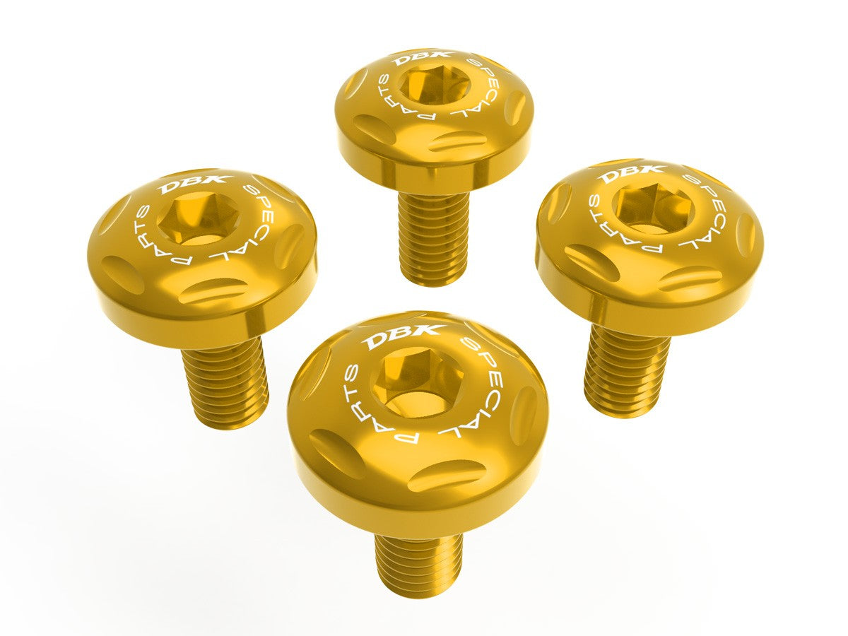 KVT61 BMW R1300GS Side Panel Screw Kit