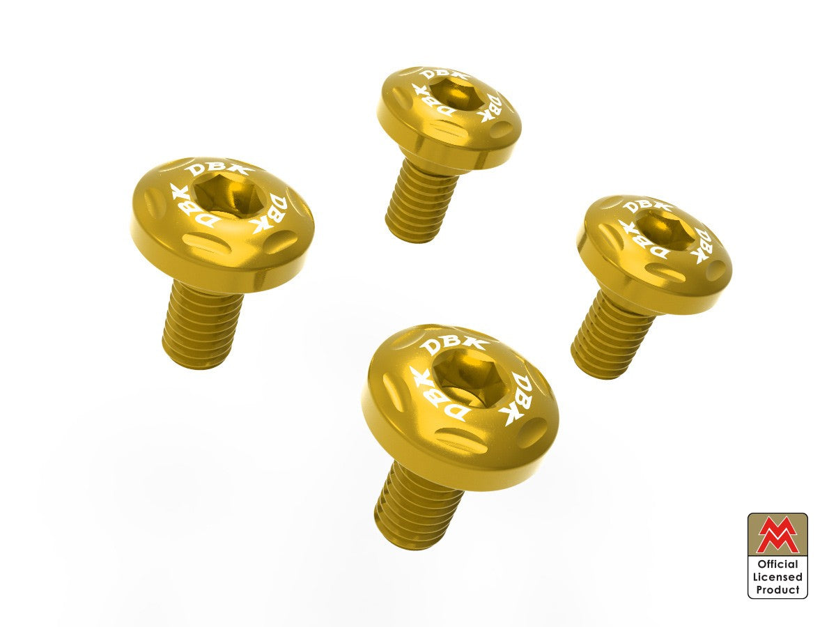 KVT60 Moto Morini Fork Protection Screw Kit