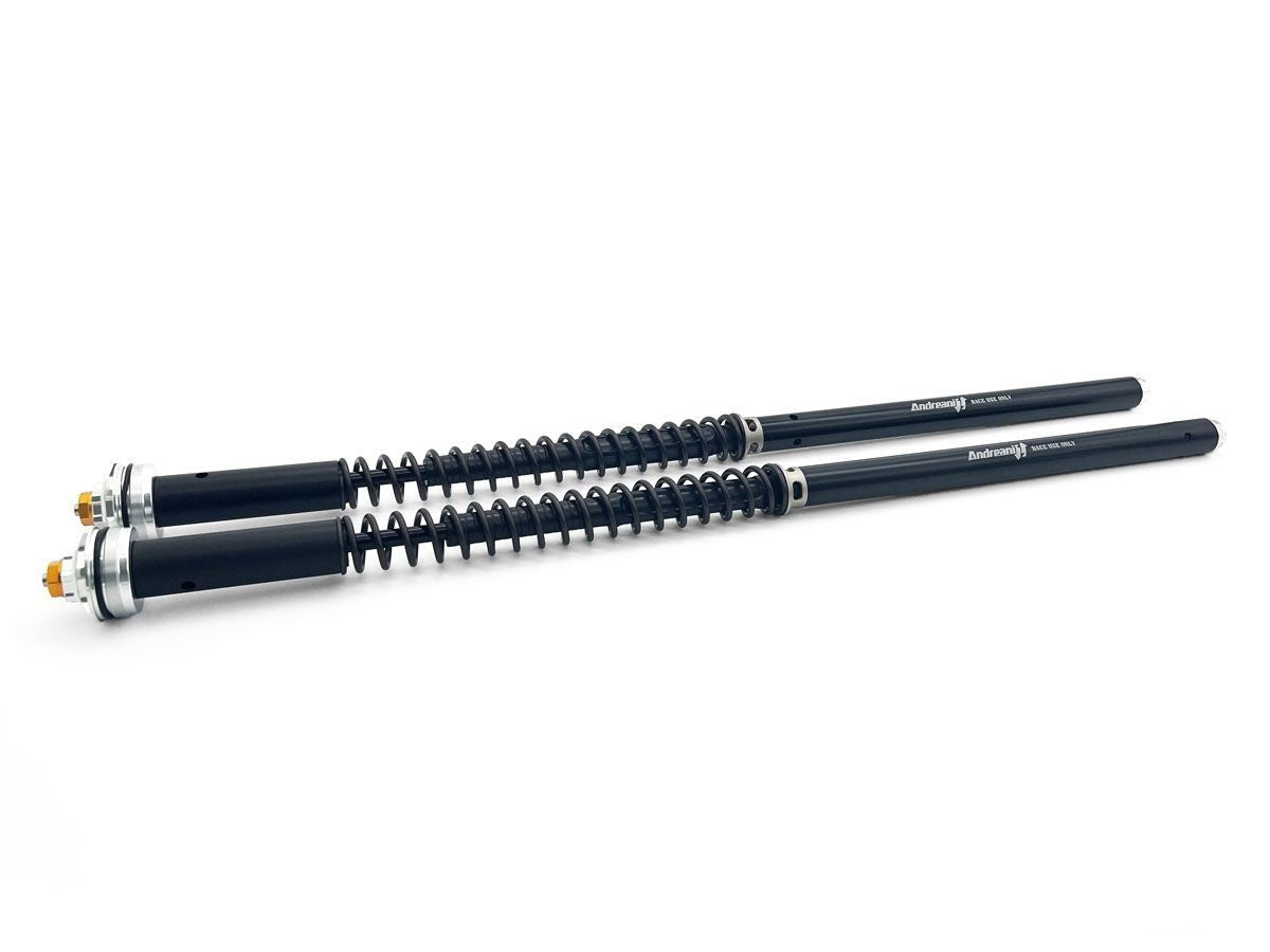 CFD105/MM5E Moto Morini X-Cape Adjustable Cartridge Kit