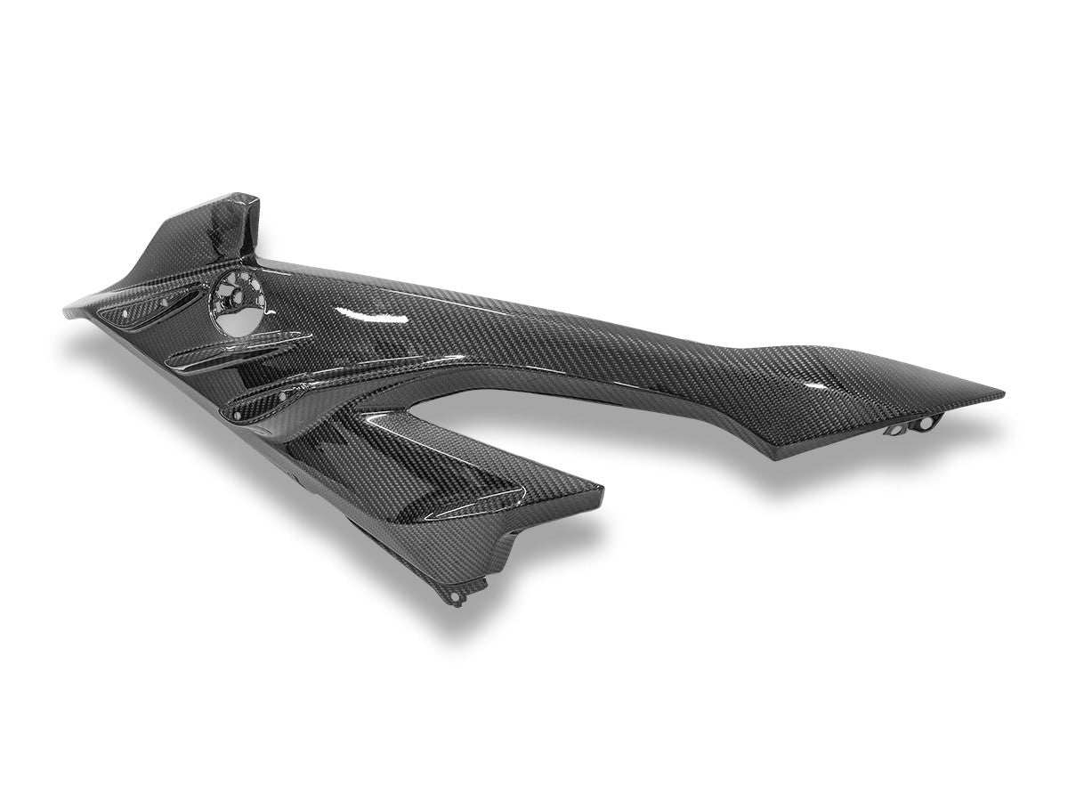 BMW S1000RR MY2023 Glossy Carbon Side Panel Infill