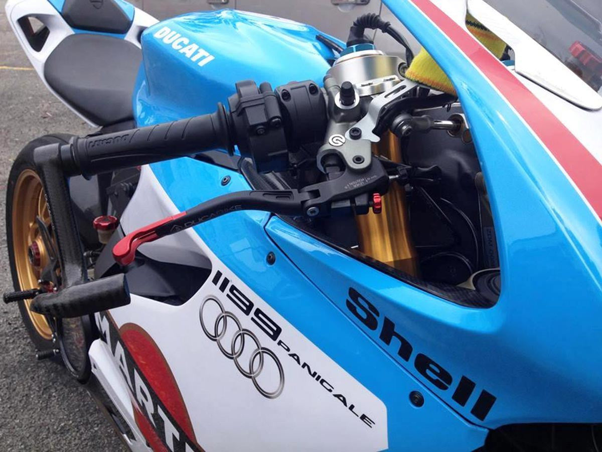 PLF01X Carbon Brake Lever Protection