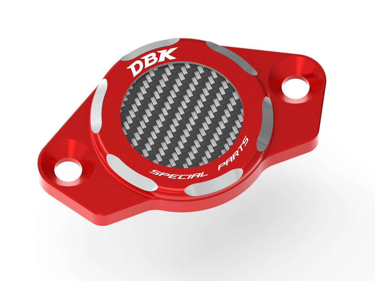 CIF06 Timing Inspection Cover
