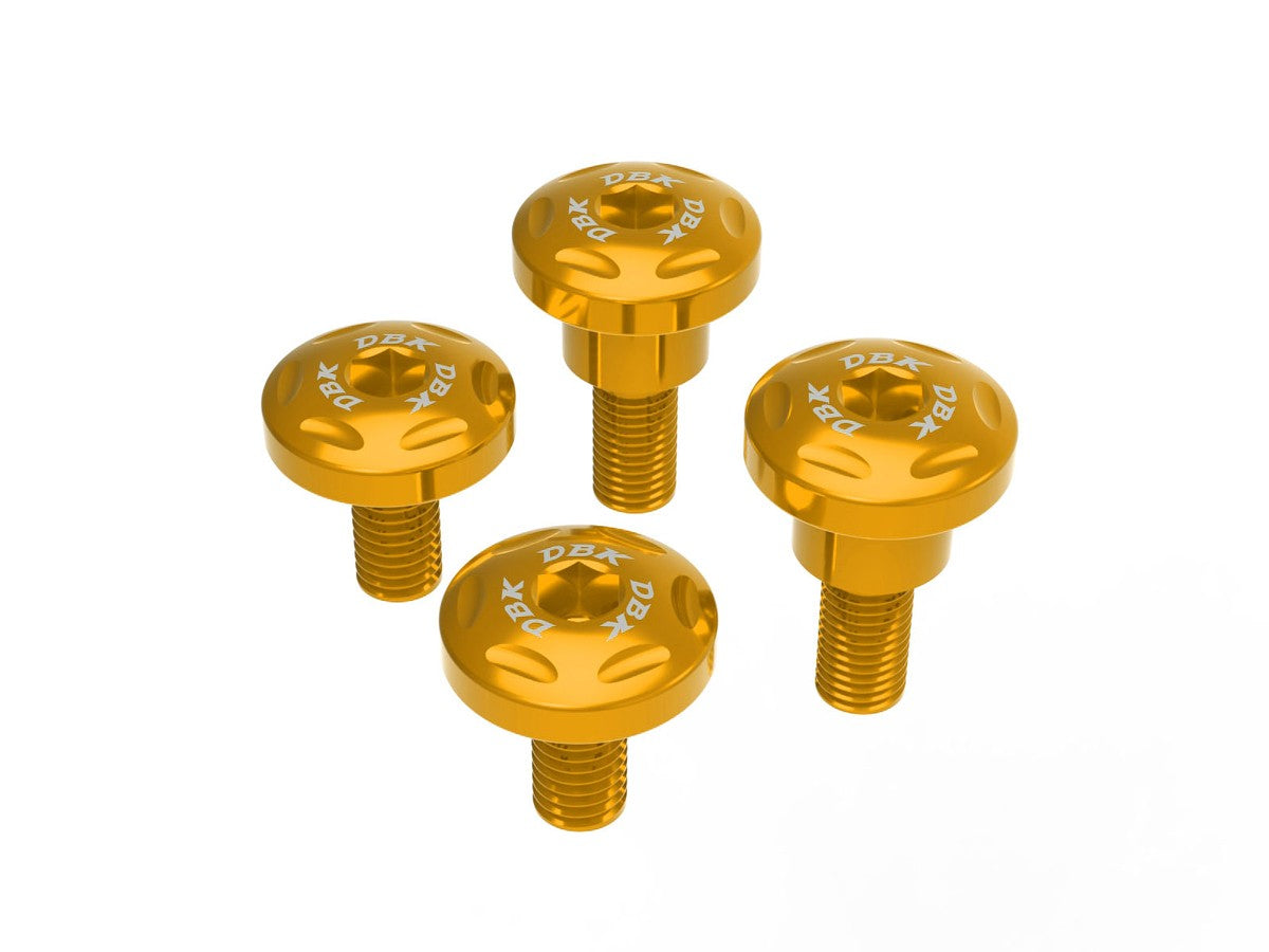 Ducati Streetfighter V2 2025 Radiator Frame Screw Kit