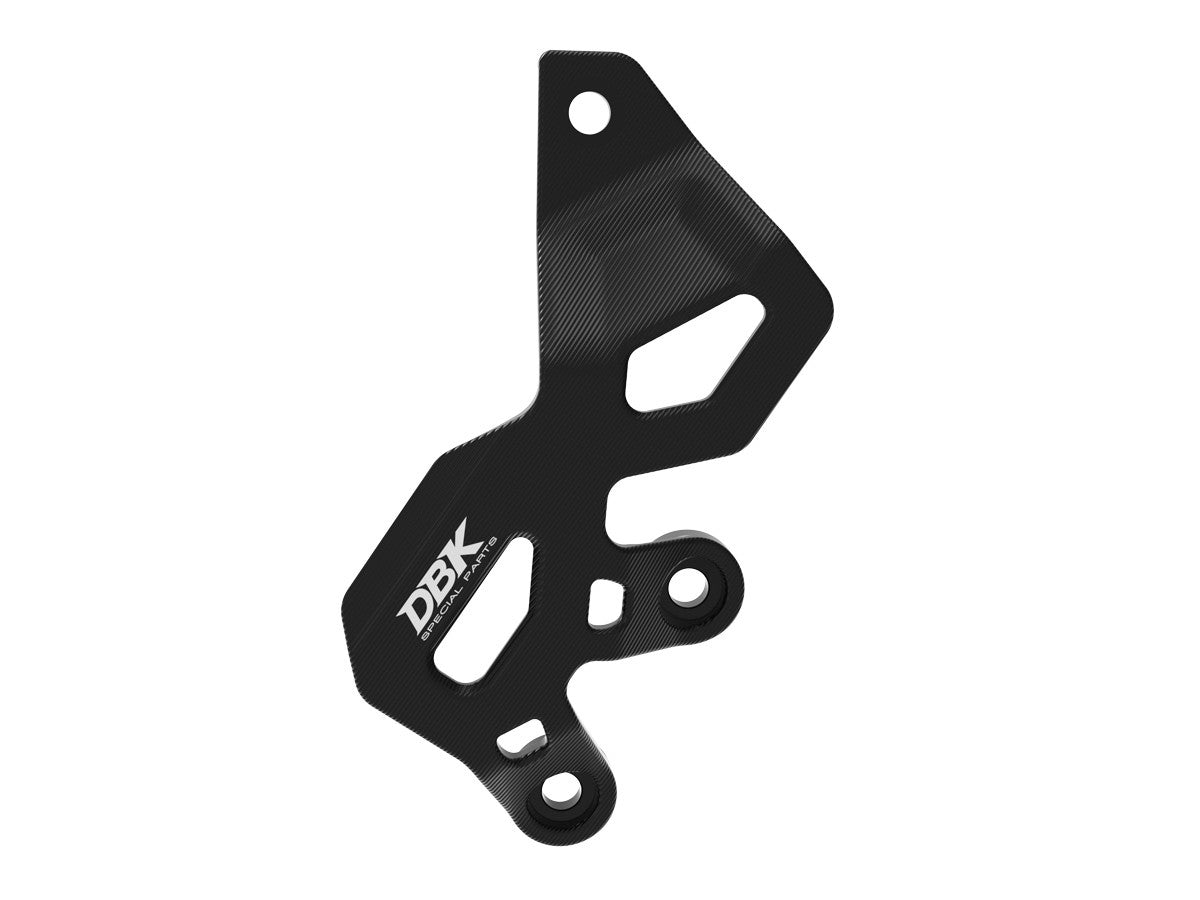 Ducati Panigale/Streetfighter V2 2025 Rear Brake Pump Protection