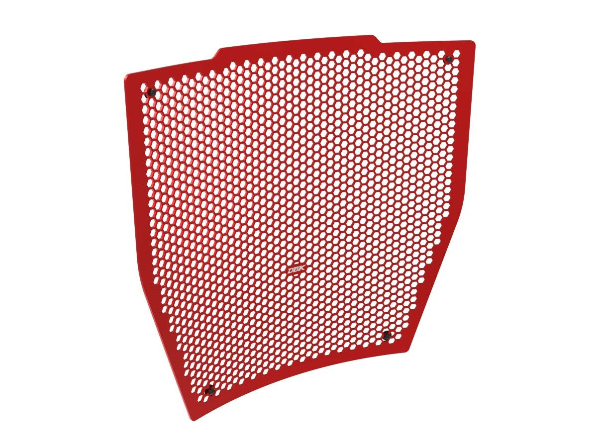 Ducati Streetfighter V4 Water Radiator Guard