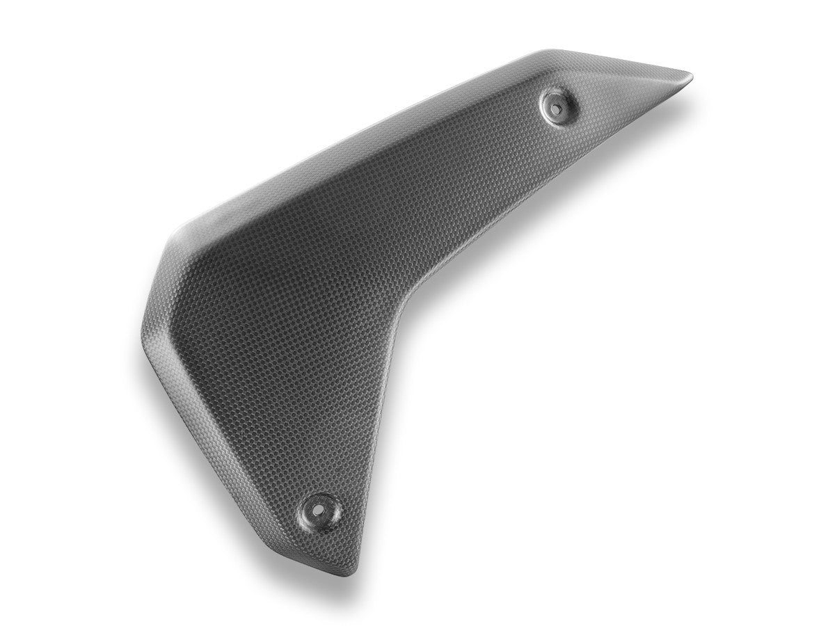 CRB180O BMW R1300GS Matt Carbon Side Panels