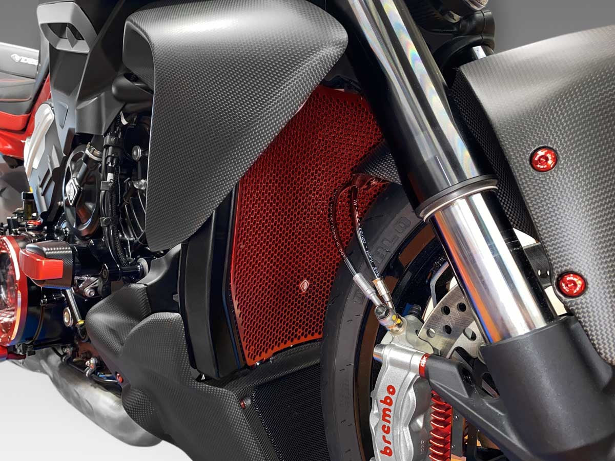 GR16 Diavel V4 Water Cooler Protection