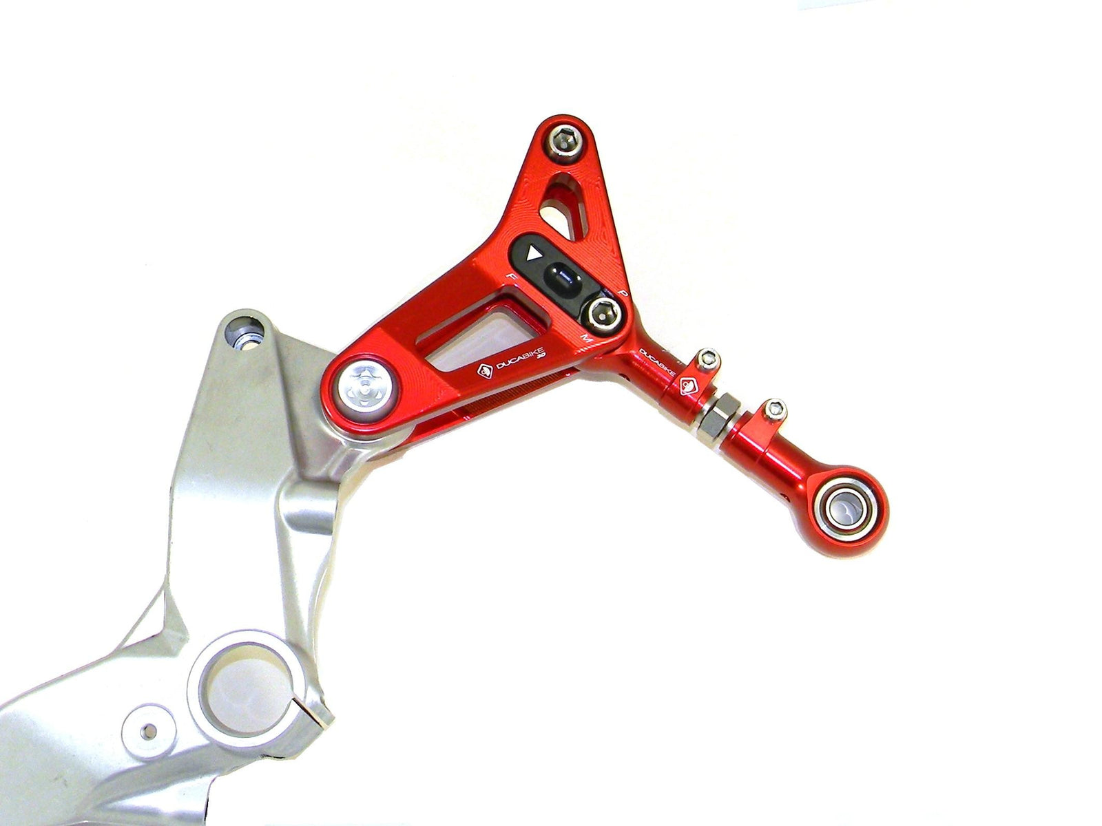 BSP01 Rear Link Suspension Panigale