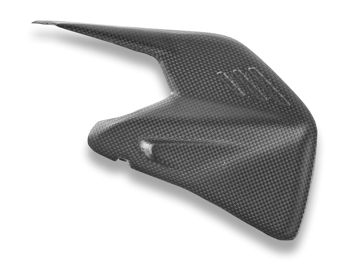 Ducati Panigale/Streetfighter V4 2025 Matt Carbon Swingarm Protector