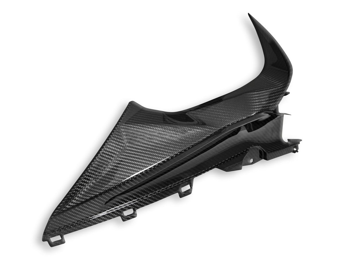 CRB113L BMW S1000RR Glossy Carbon Infil Panel