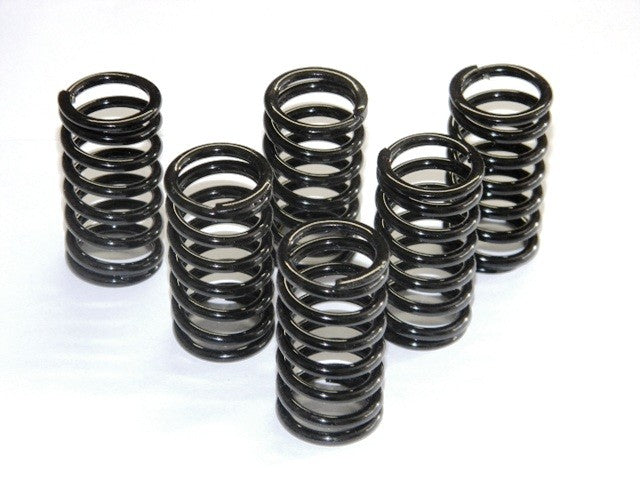 6M01 Kit Clutch Springs