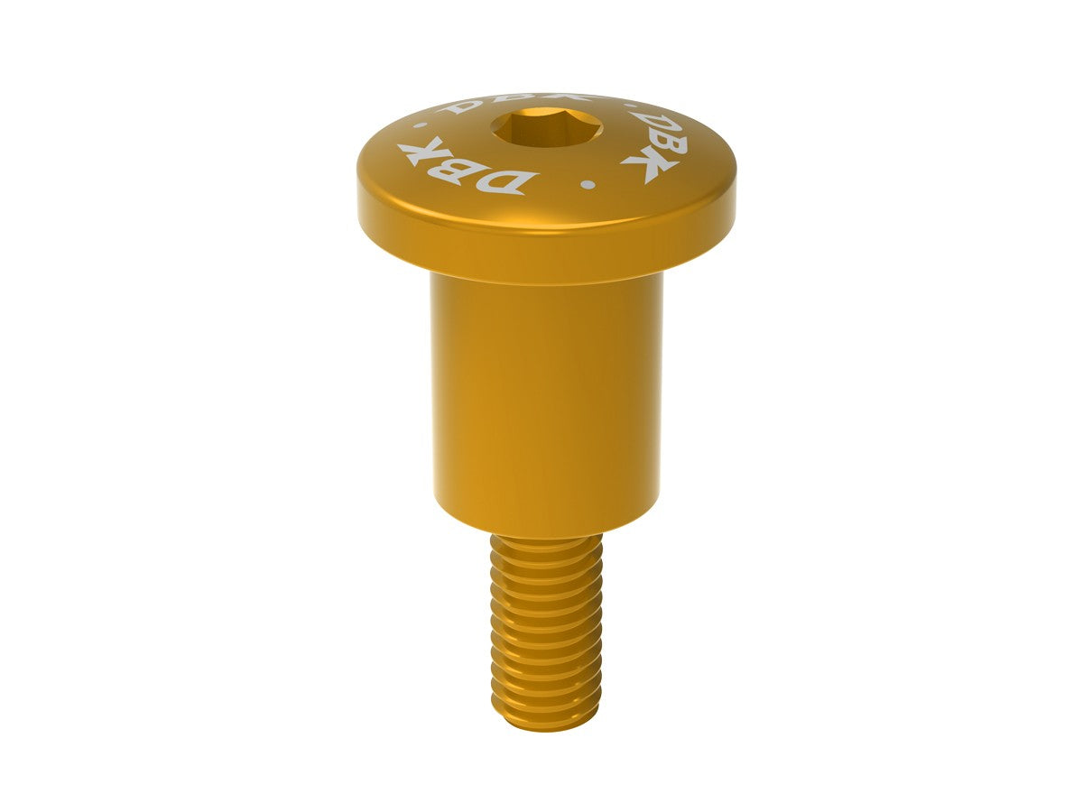 VITE01 Brake / Clutch Tank Screw