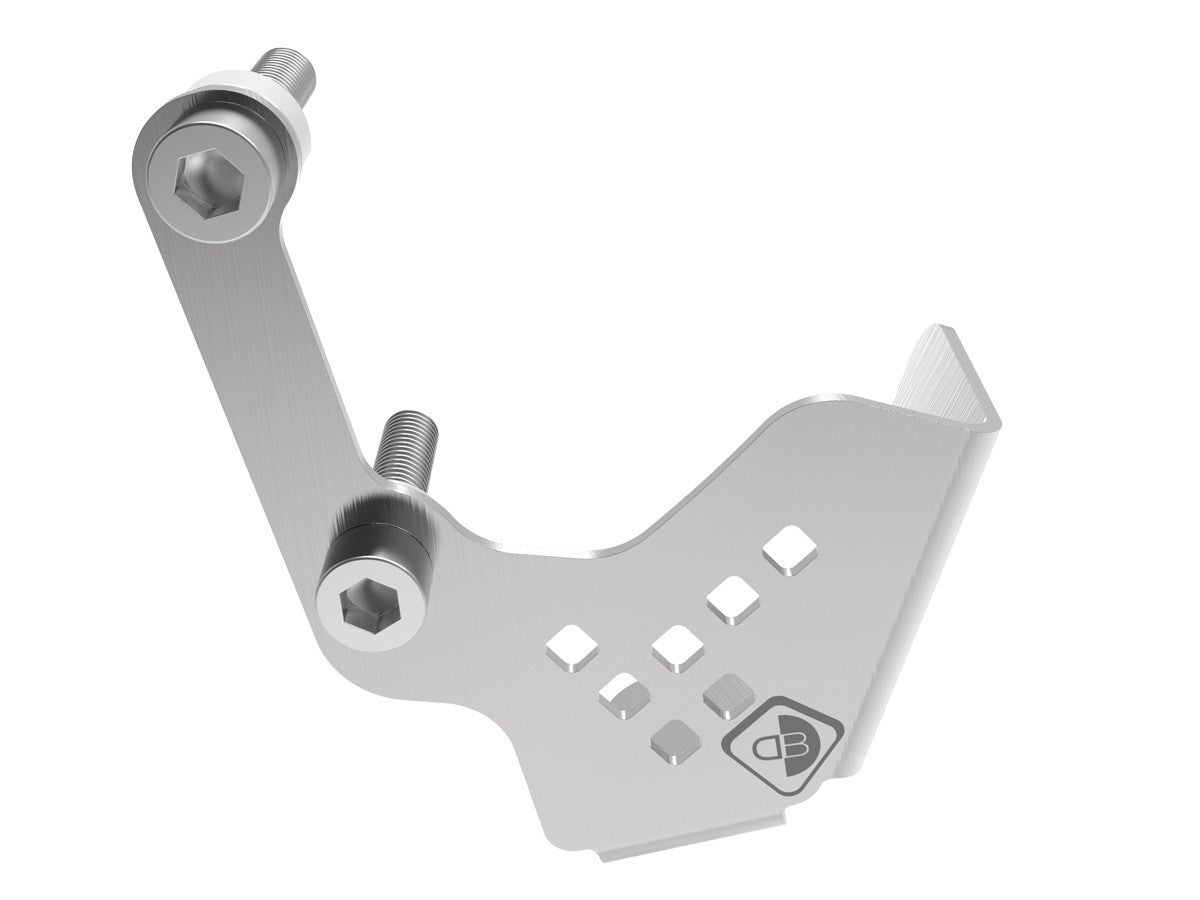 PPF01 MTS V4 Rear Brake Pump Protection
