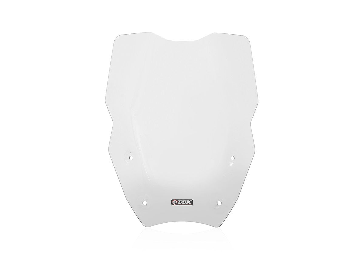 BMW R1300 GS Touring Windshield