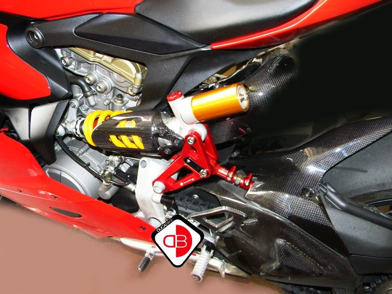 BSP01 Rear Link Suspension Panigale