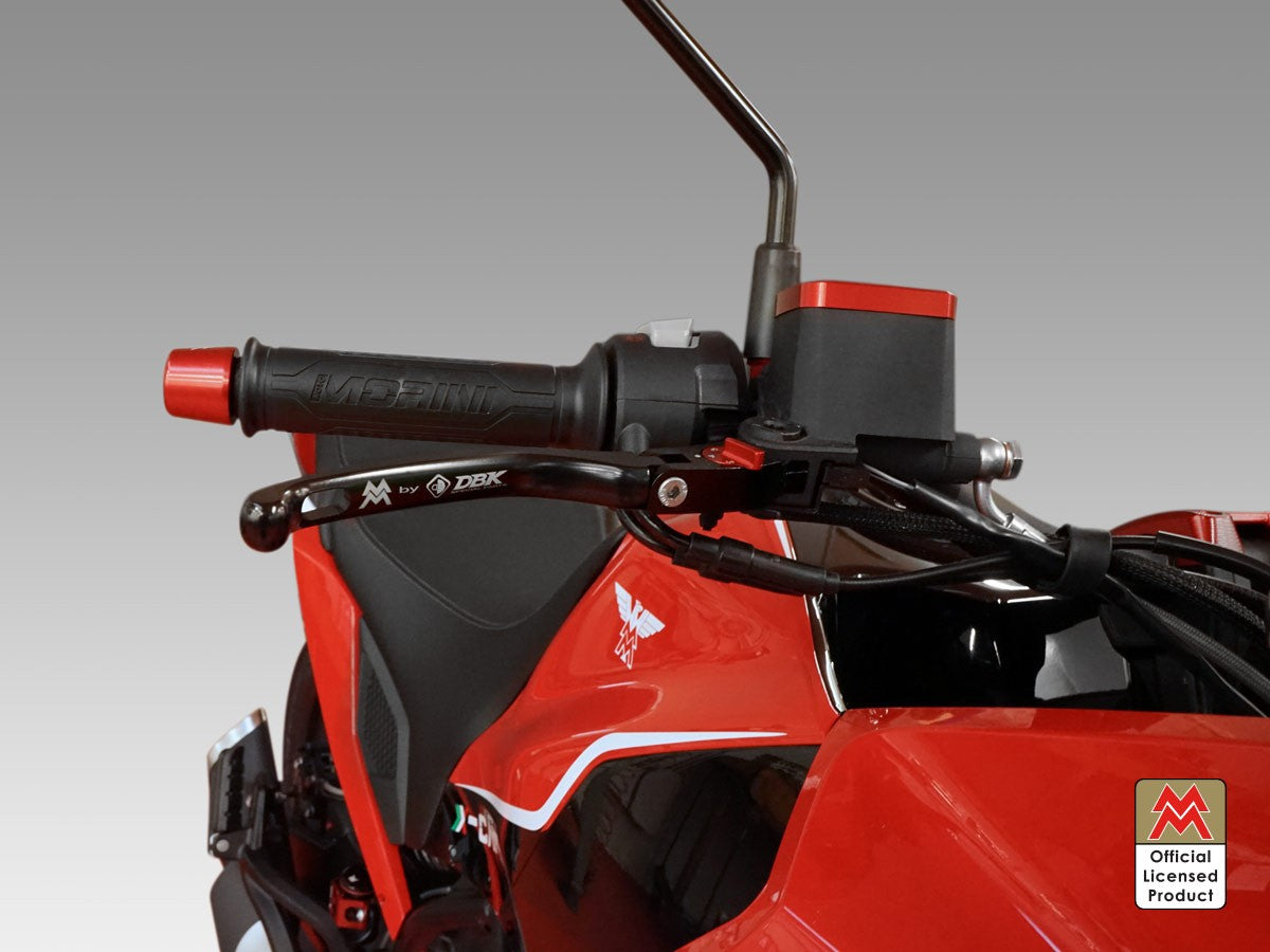LE22 Brake / Clutch Adjustable Levers Eco GP 1