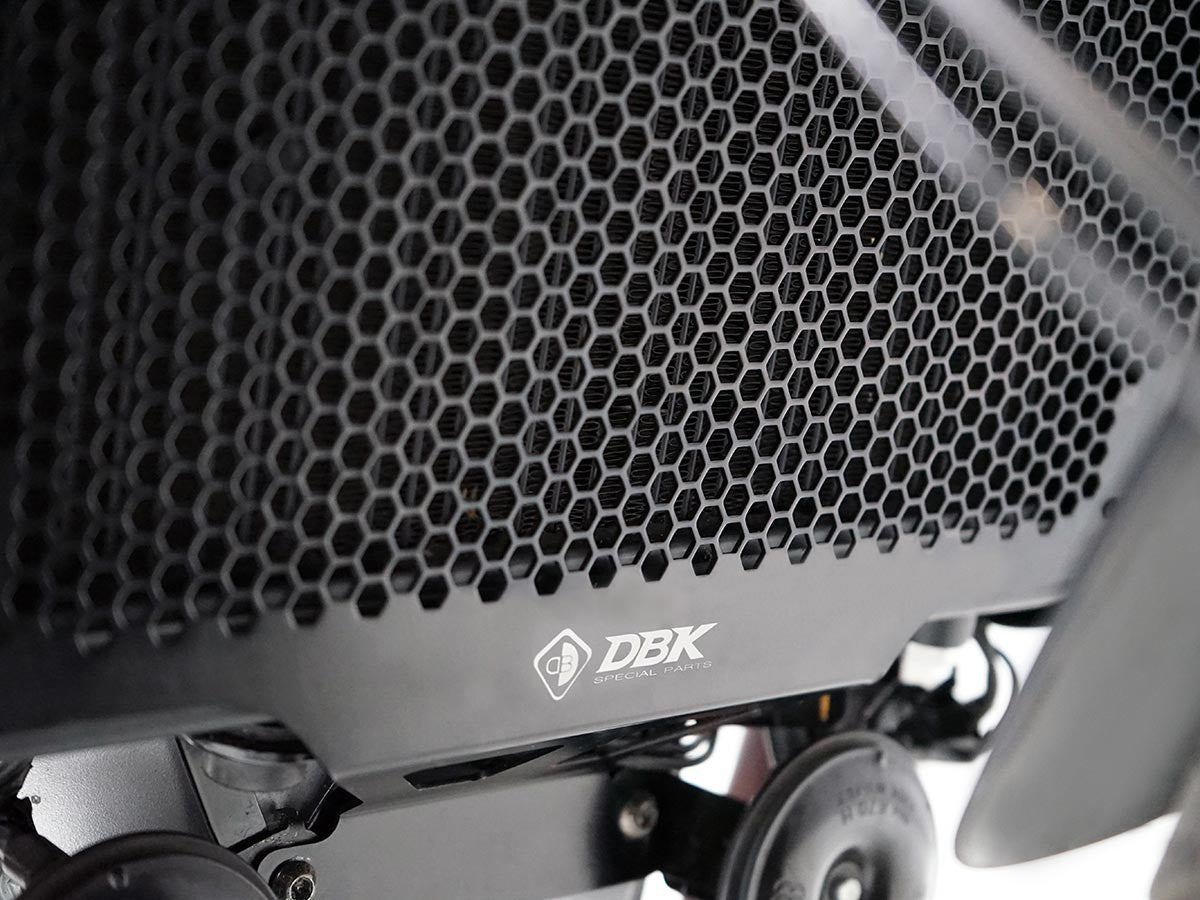 GR23 Moto Guzzi Stelvio Water Radiator Guard