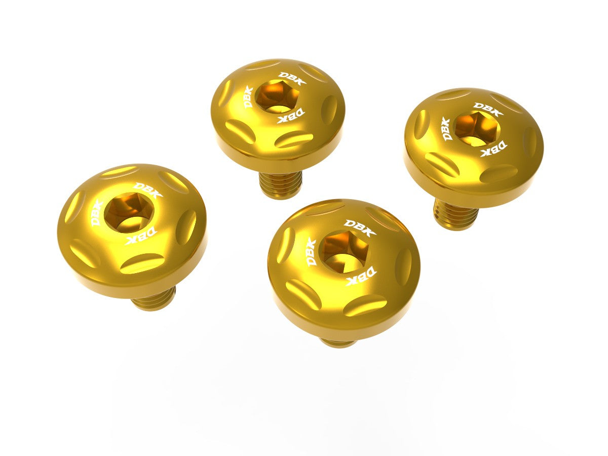 Ducati Panigale/Streetfighter V2 2025 Rear Fender Screws Kit