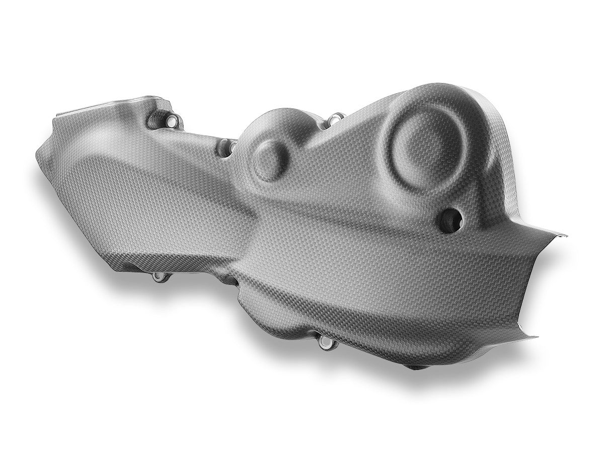 Ducati Hypermotard 950 Matt Carbon Belt Covers