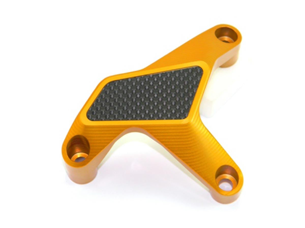 PPA01 Water Pump Protection