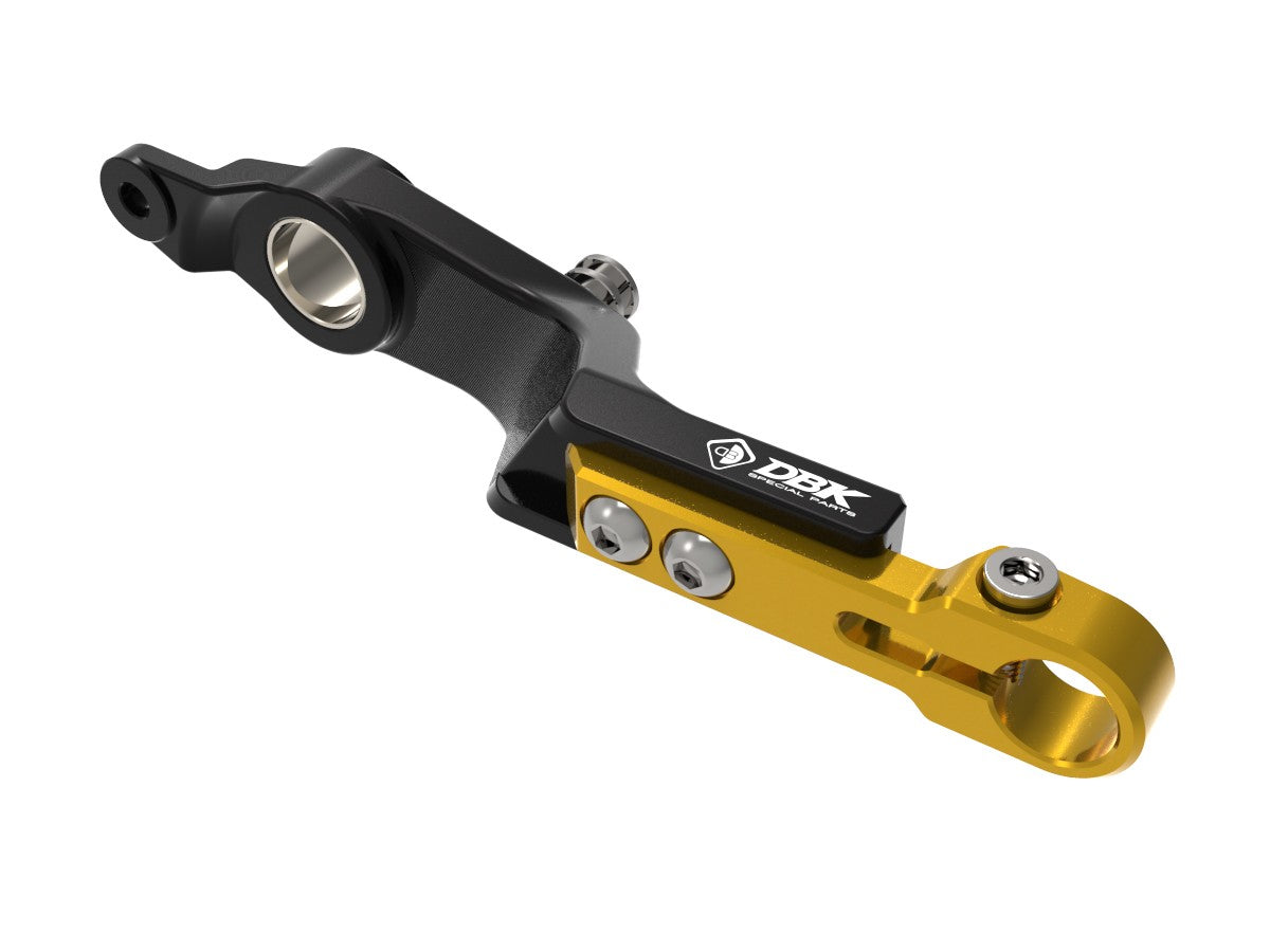 Rplf26 BMW R1300GS Adjustable Brake Control Lever