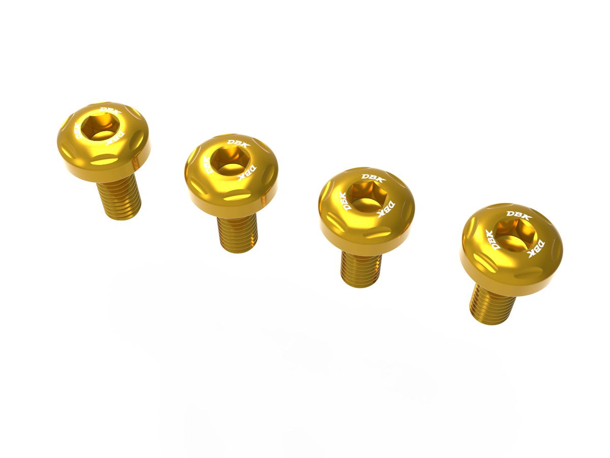 KVT103 Panigale V4 MY 2025 Heel Guards Screws Kit