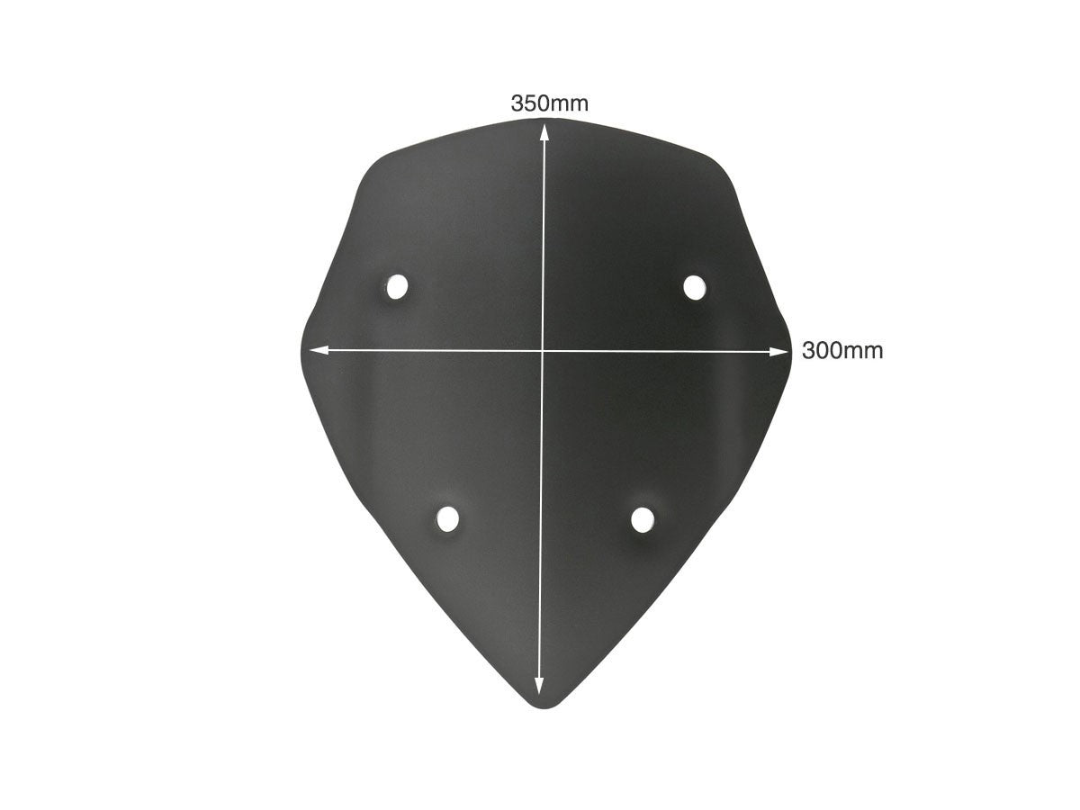 CUP05 MTS 1200 13/14 Sport Windscreen