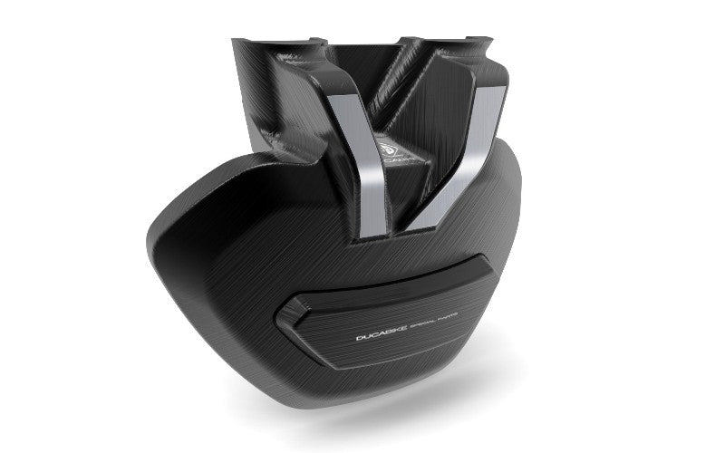 Pfxdv01 Xdiavel Swingarm Protection