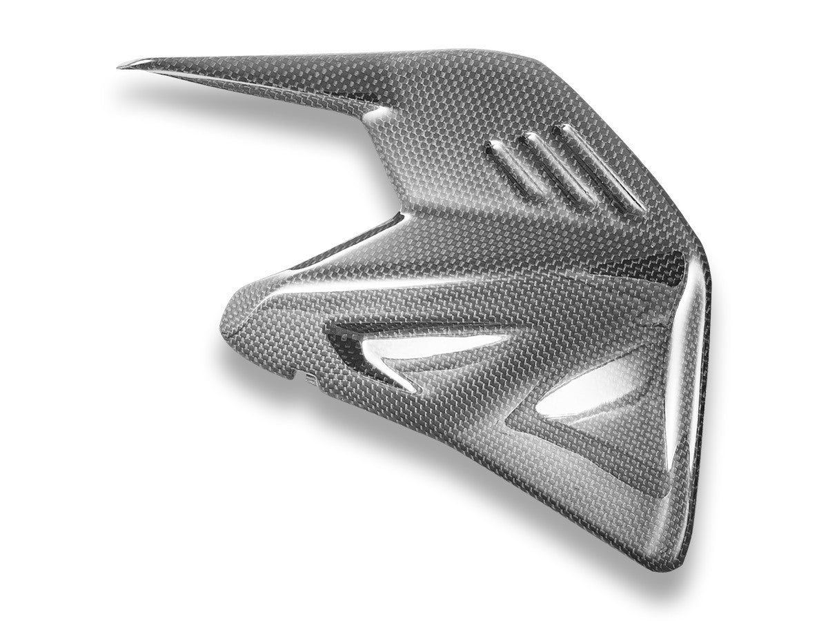 Ducati Panigale/Streetfighter V4 2025 Glossy Carbon Swingarm Protector