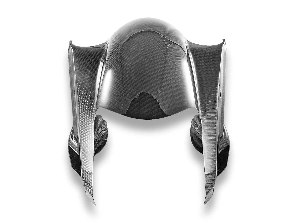 Ducabike DBK BMW Front Fender Glossy Carbon