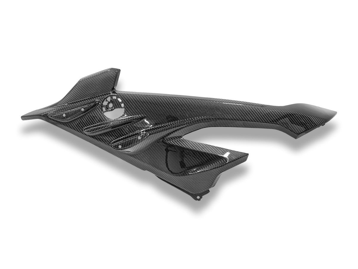BMW S1000RR MY2023 Glossy Carbon Side Panel Infill