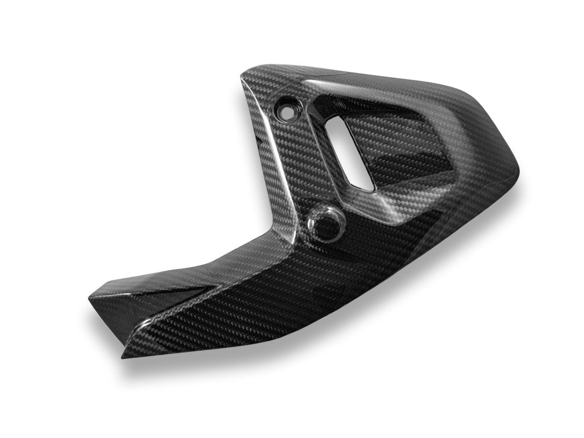 BMW R1300GS Glossy Carbon Side Panels