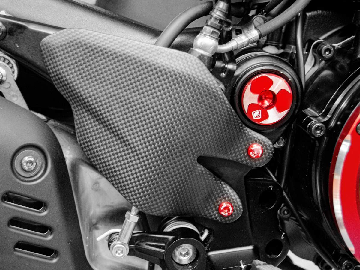 KVT44 Diavel V4 Right Heel Guard Screw Kit