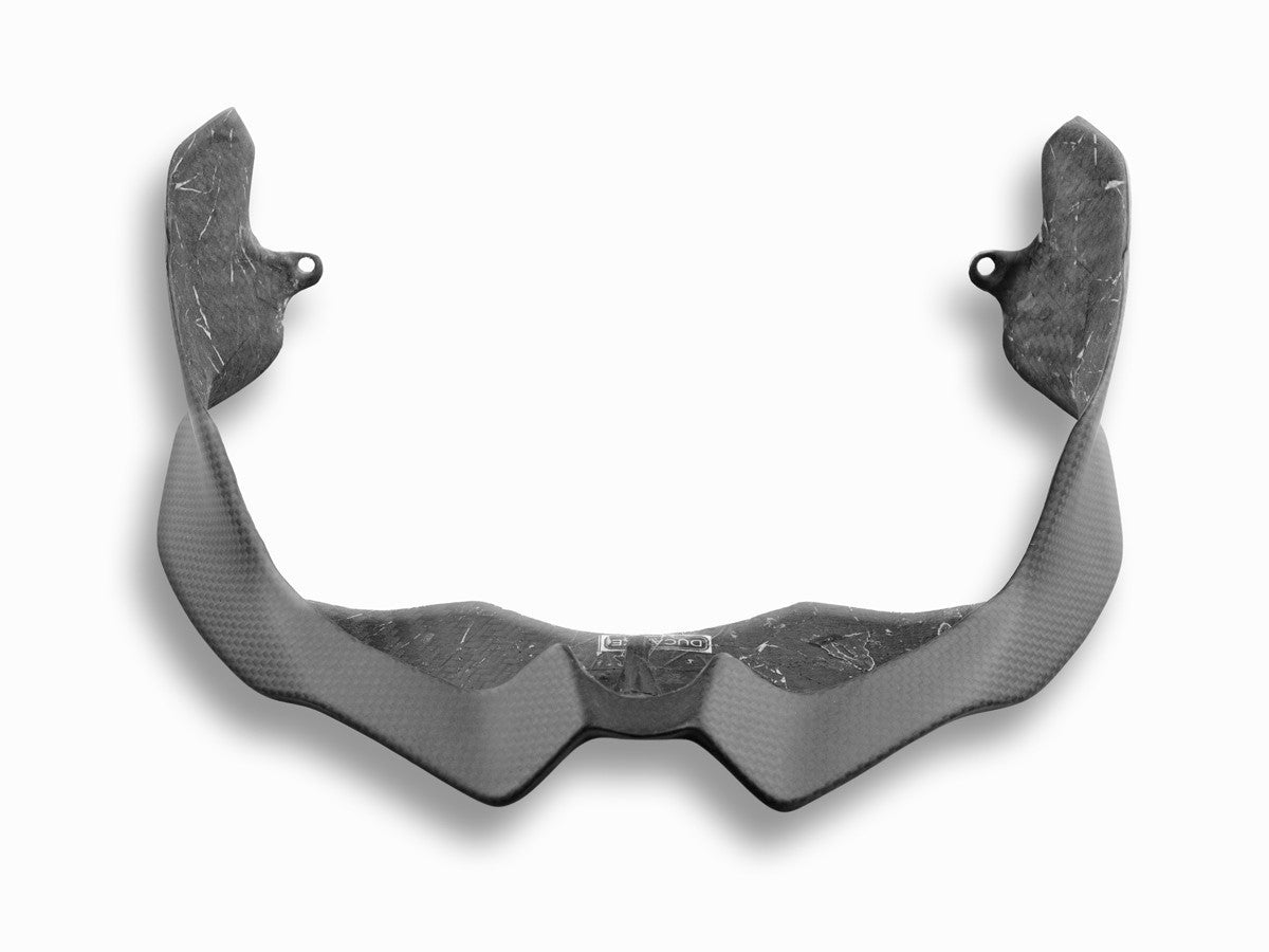 CRB08O Carbon Lower Headlight Protection