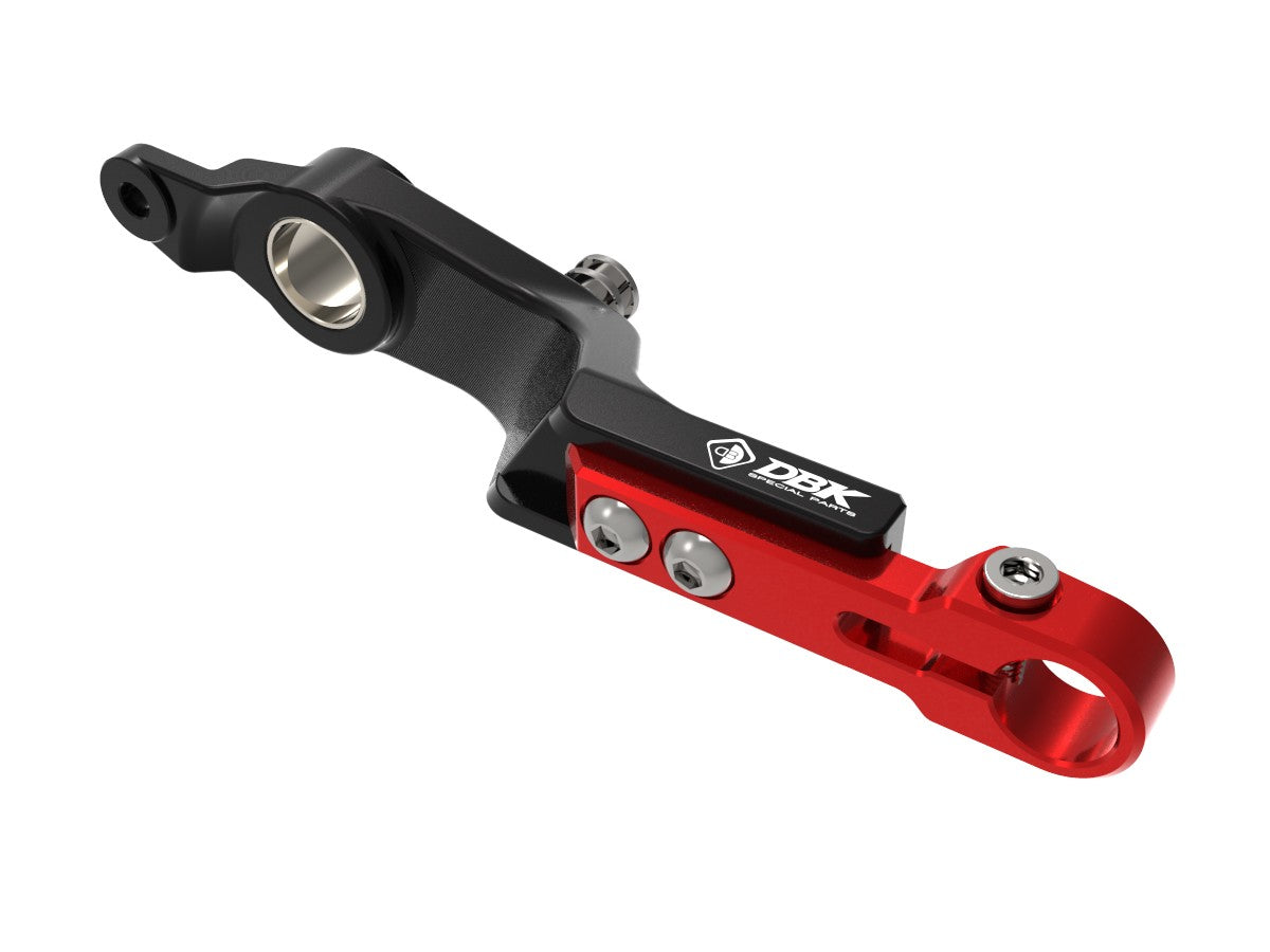 RPLF26 - BMW R1300GS ADJUSTABLE BRAKE CONTROL LEVER