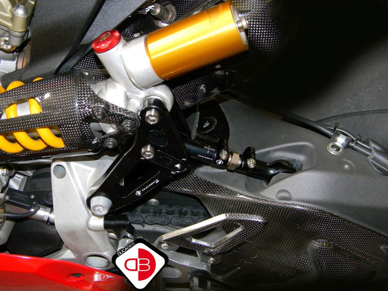 BSP01 Rear Link Suspension Panigale