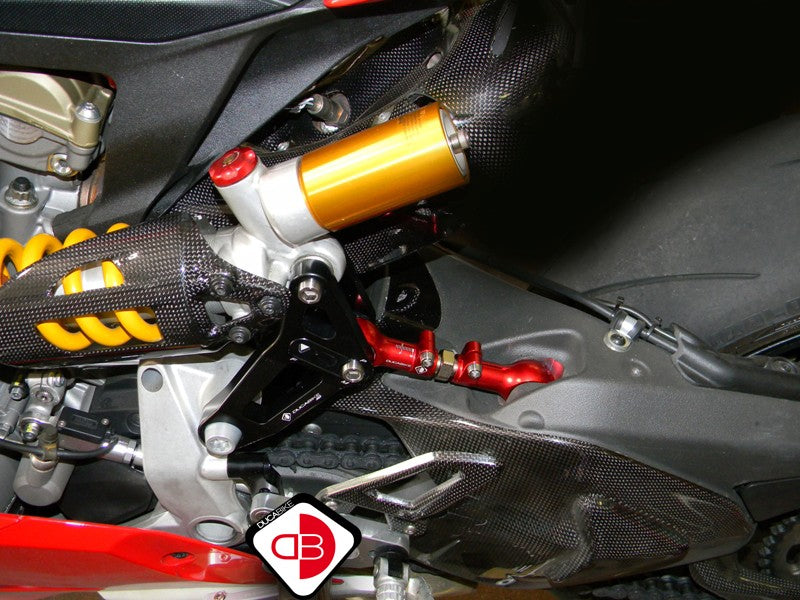 BSP01 Rear Link Suspension Panigale