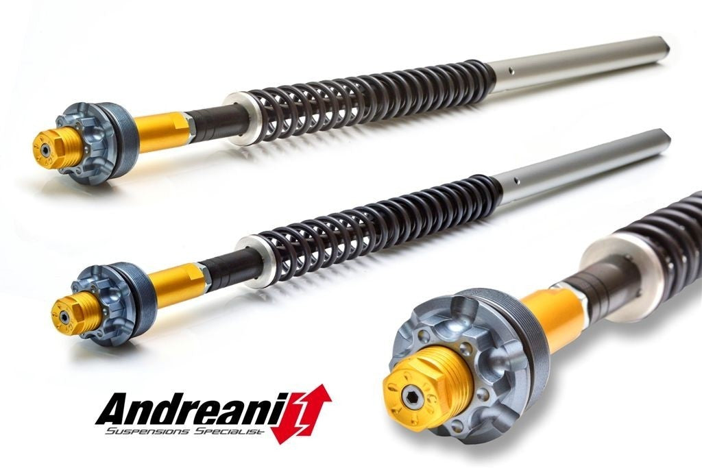 CFD105/D41E Ducati 848-1098-1198 Kit Cartuccia Reg.