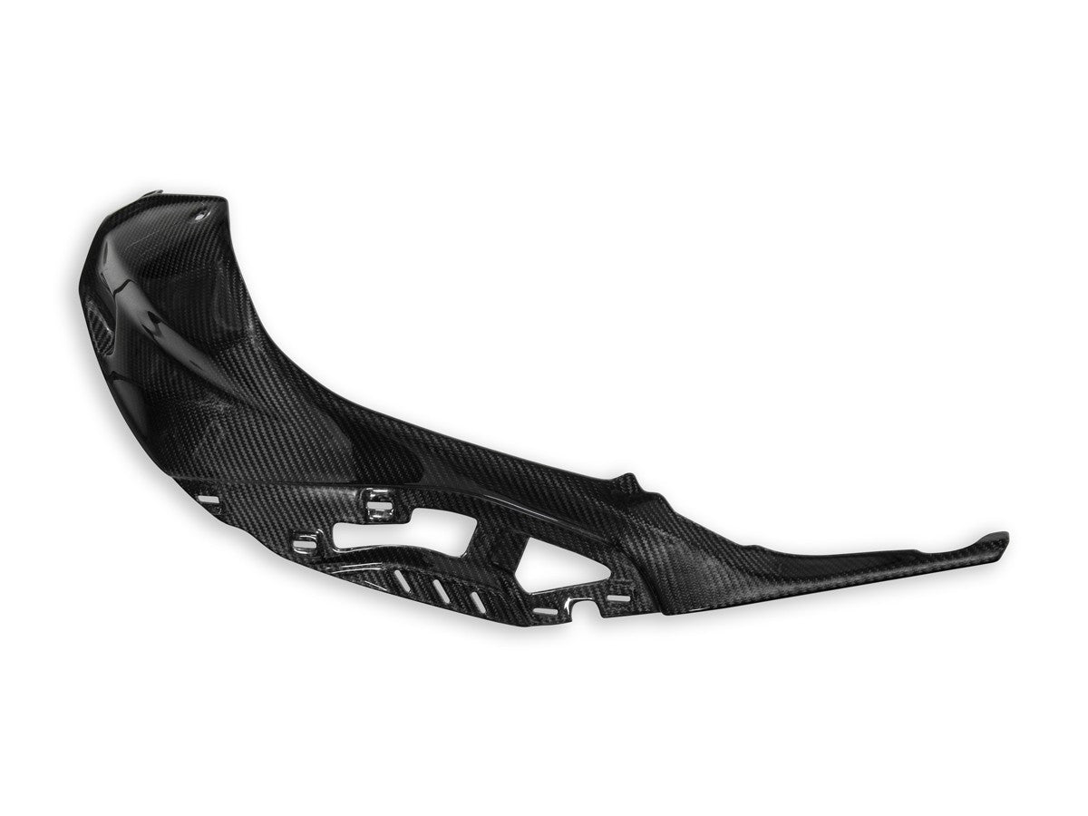 CRB138L BMW S1000R Polished Carbon Tank Cover