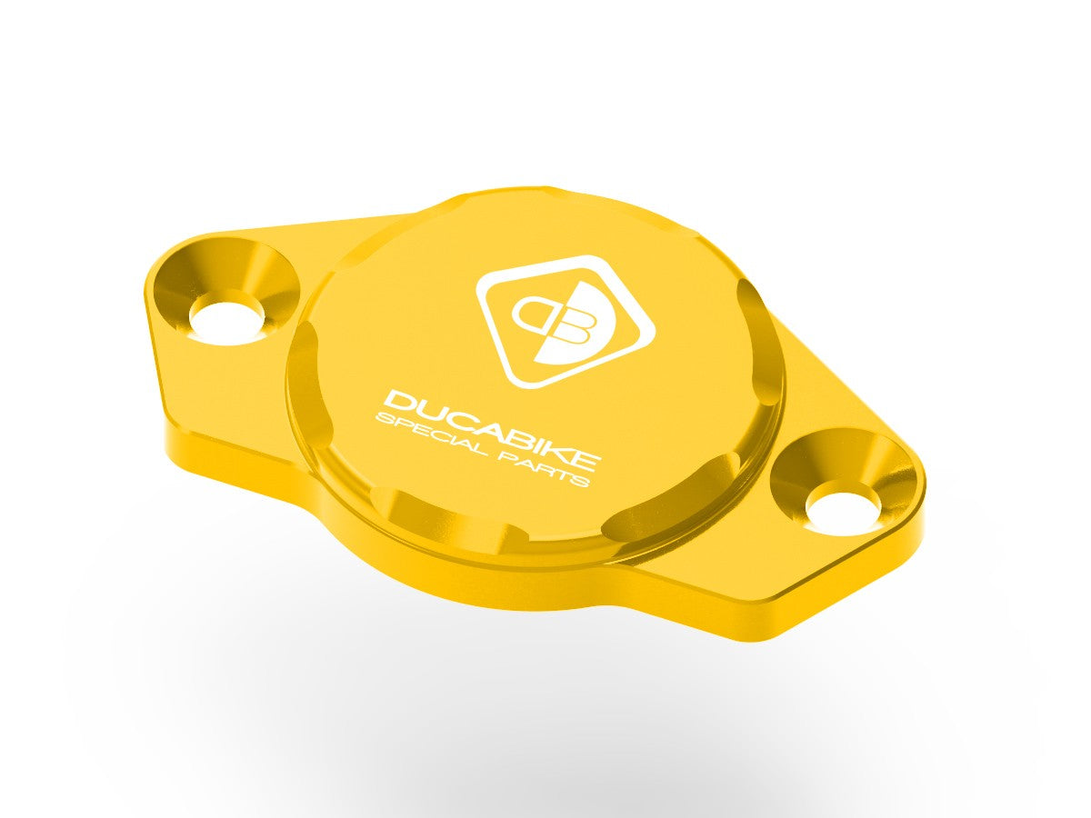 CIF02 Timing Inspection Cover