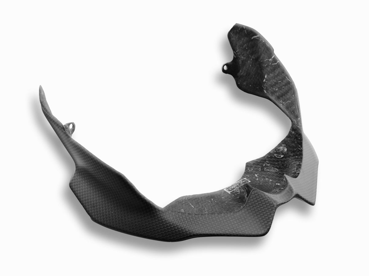 CRB08O Carbon Lower Headlight Protection