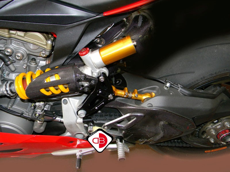 BSP01 Rear Link Suspension Panigale